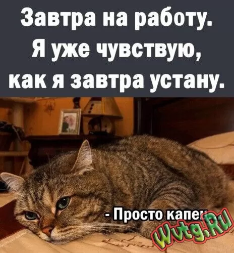 ? приколы ?
