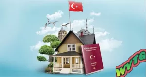 Недвижимость все вопросы  в Турции