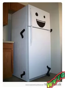 Здоровый холодильник